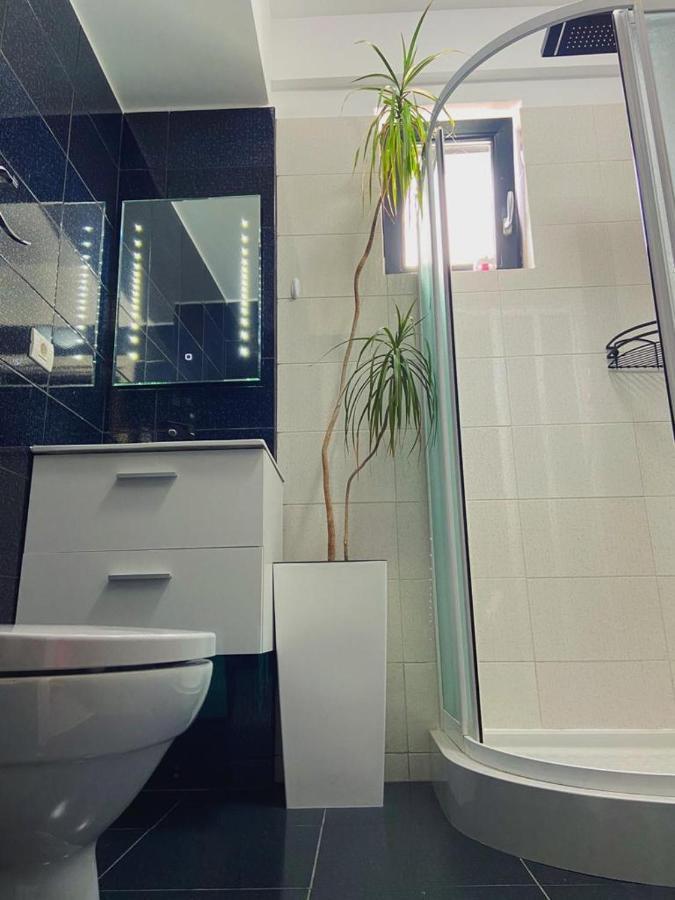 Peacock Apartament- Stefan Building Διαμέρισμα Năvodari Εξωτερικό φωτογραφία